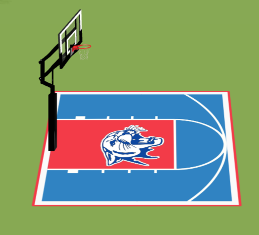 Customize court